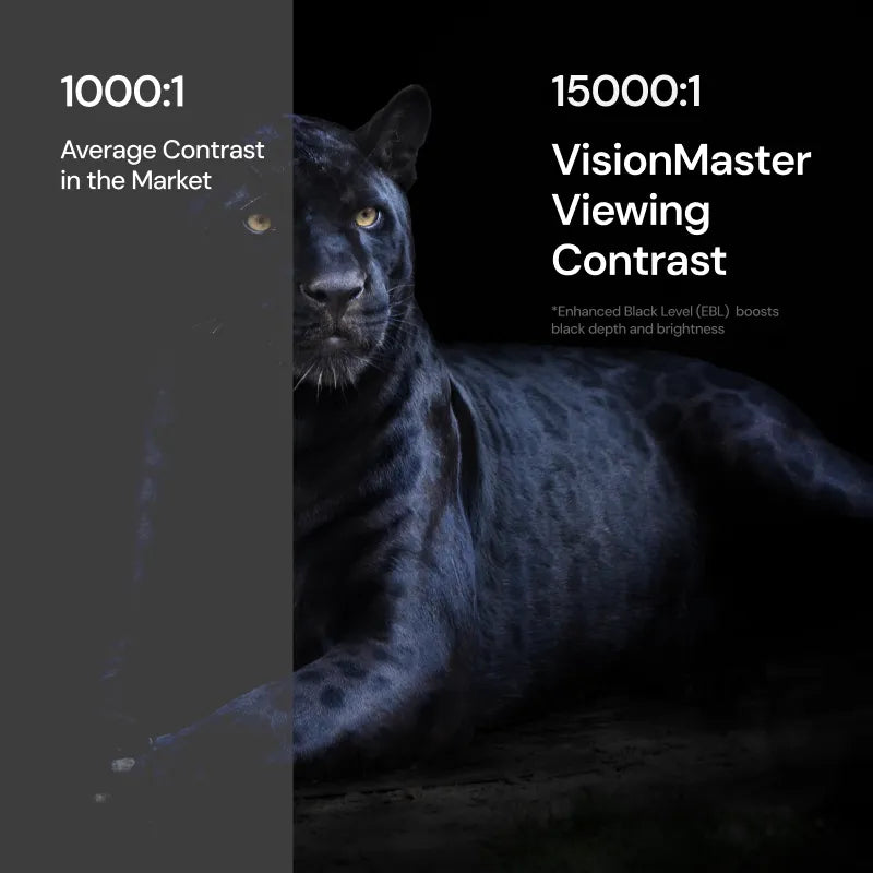 Valerion VisionMaster Pro2 & Pro | 4K RGB Triple Laser Projector